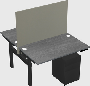 Shared electric desk
