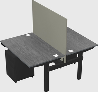 Shared electric desk