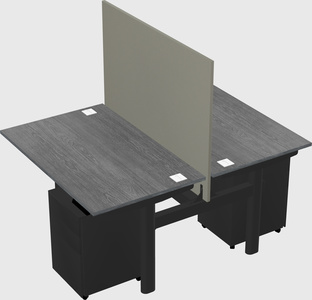 Shared electric desk