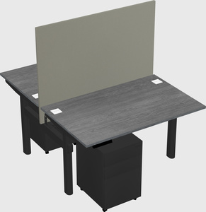 Shared electric desk