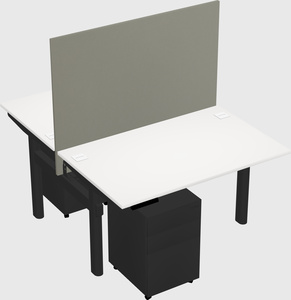 Shared electric desk
