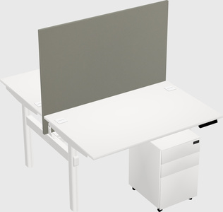 Shared electric desk