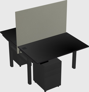 Shared electric desk