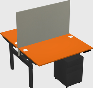 Shared electric desk