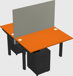 Shared electric desk