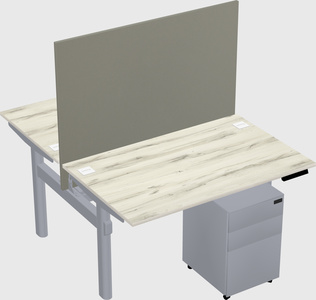 Shared electric desk