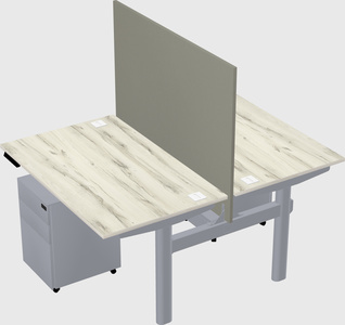 Shared electric desk