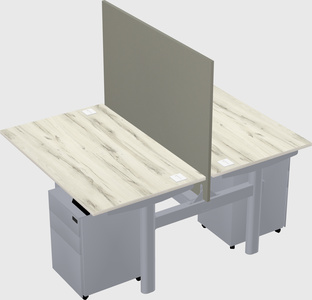 Shared electric desk