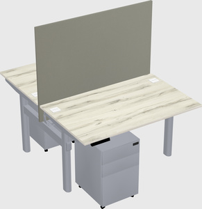 Shared electric desk