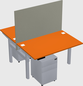 Shared electric desk
