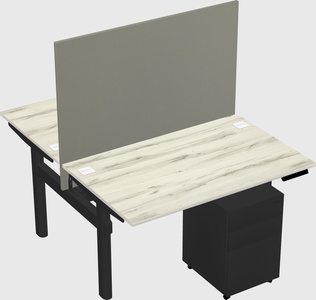 Shared electric desk