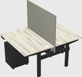 Shared electric desk
