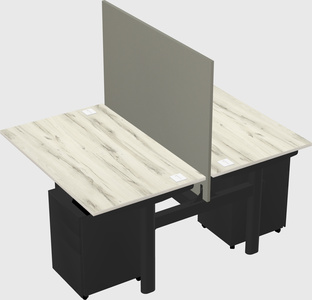 Shared electric desk