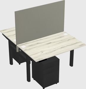 Shared electric desk