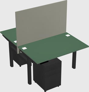 Shared electric desk