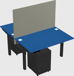 Shared electric desk