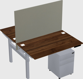 Shared electric desk