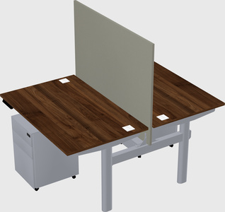 Shared electric desk