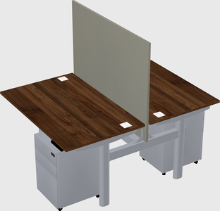 Shared electric desk