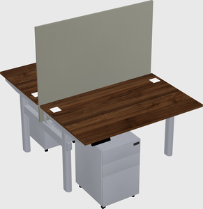 Shared electric desk