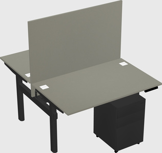 Shared electric desk