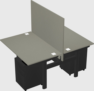 Shared electric desk
