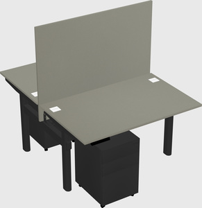 Shared electric desk