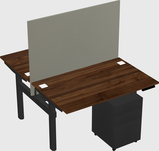 Shared electric desk