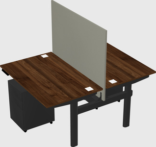 Shared electric desk