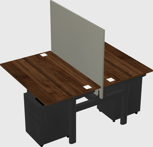 Shared electric desk