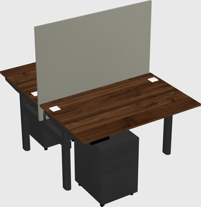 Shared electric desk
