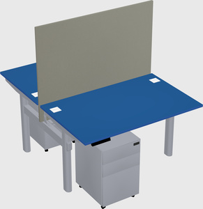 Shared electric desk