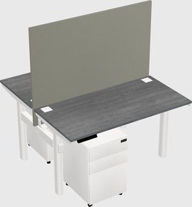Shared electric desk