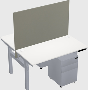 Shared electric desk