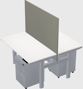 Shared electric desk