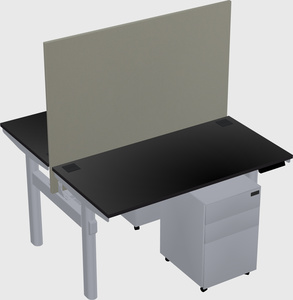 Shared electric desk