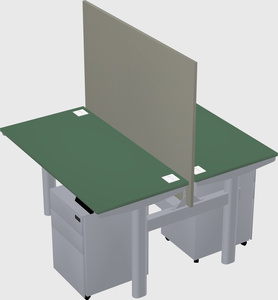 Shared electric desk
