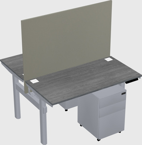 Shared electric desk
