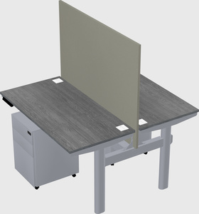 Shared electric desk