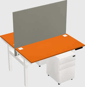 Shared electric desk