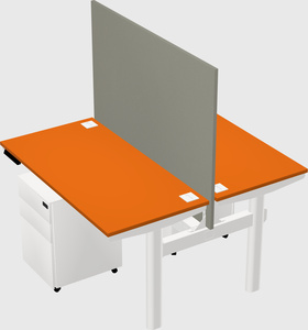 Shared electric desk