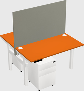 Shared electric desk
