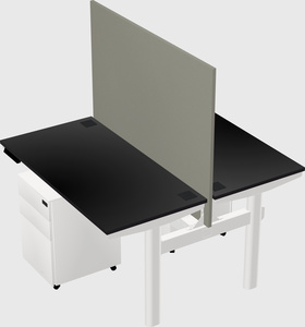Shared electric desk