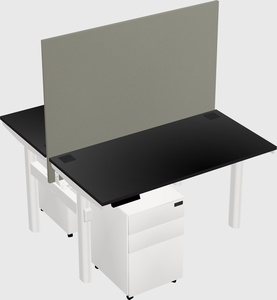 Shared electric desk