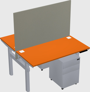 Shared electric desk