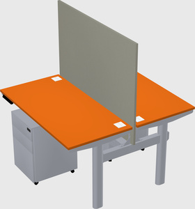 Shared electric desk