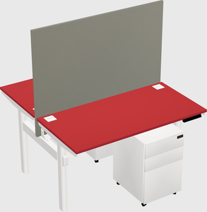 Shared electric desk