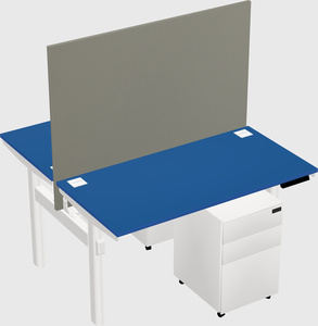 Shared electric desk