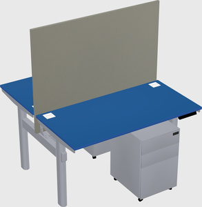 Shared electric desk