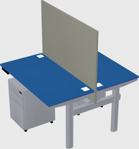 Shared electric desk